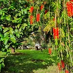 Holiday home Atlantico, Your Family&friends Retreat Ponta do Sol (Madeira)
