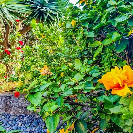 Atlantico, Your Family&friends Retreat *