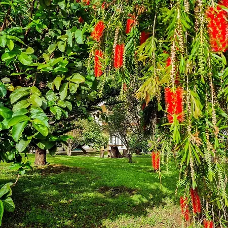 Dom wakacyjny Atlantico, Your Family&friends Retreat Ponta do Sol (Madeira)