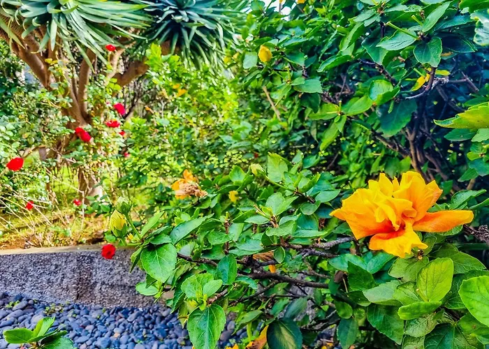 Atlantico, Your Family&friends Retreat *